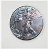 Image 1 : 2015 AMERICAN SILVER EAGLE RAINBOW