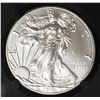Image 2 : 2019 AMERICAN SILVER EAGLE NGC MS70