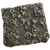 Image 2 : SATAVANHANAS: Satakarni, ca. 100-50 BC, potin square unit (8.85g). VF