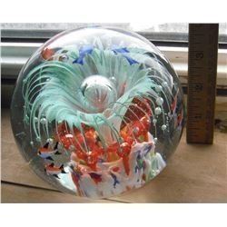 fish BIG amazing paperweight - GRANDE presse-papier extraordinaire images de poissons