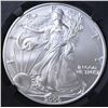Image 2 : 2006-W BURNISHED SILVER EAGLE  NGC MS-70