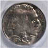 Image 2 : 1934-D BUFFALO NICKEL PCGS MS-64 OGH
