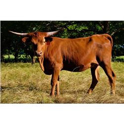 HLR CAPITAL RETURN 905