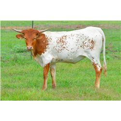 HELM HIDDEN ROSE 912