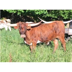 HUBBELLS CATCH YOU 2