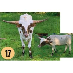 HORSESHOE J MILKSHAKE