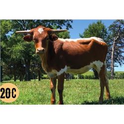 OHL MONACO'S GRACLYN