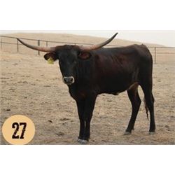 SUB LOT - DUSTY ZONA 911