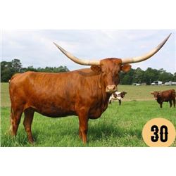 RIVERFORKS CHERRY BLOSSOM