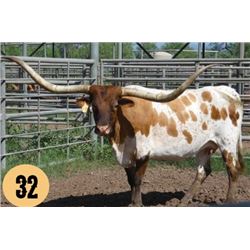 SCRATCH - ECR PRIMED