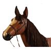 Image 2 : Saddle Shop Display Horse
