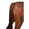 Image 8 : Saddle Shop Display Horse