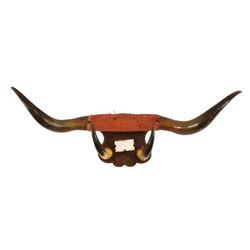 Cattle Horn Set