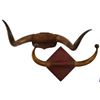 Image 1 : Pair of Horn Hat Racks