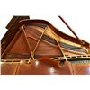 Image 11 : Gaveau Grand Piano