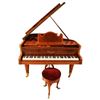 Image 3 : Gaveau Grand Piano