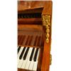 Image 4 : Gaveau Grand Piano
