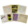 Image 2 : Beatles Complete Set of Xmas Fan Club Flexi-Disc 