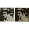 Image 2 : Elvis "Don't Be Cruel"/"Hound Dog" Sleeves 