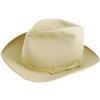 Image 1 : Howard Hughes' Fedora 