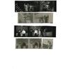 Image 1 : Contact Sheet of Five Shots from "Rebel" 
