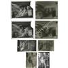 Image 1 : Photos, Copy & Contact Sheet for "Rebel" 