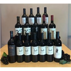 16 Bottles Great Drinking New World Reds