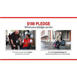 $100 Pledge