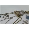 Image 7 : Misc Jewelry: Pendants, Neck Chains, Earrings, Bracelets, Pins, etc