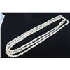 Image 2 : Three-Strand White Shell Lei Necklace w/ Shell Clasp (see video - left thumbnail)
