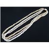 Image 1 : Three-Strand White, Yellow & Tan Shell Lei Necklace w/ Shell Clasp Three-Strand White Shell Lei Neck