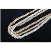 Image 3 : Three-Strand White, Yellow & Tan Shell Lei Necklace w/ Shell Clasp Three-Strand White Shell Lei Neck