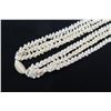 Image 17 : Three-Strand White Shell Lei Necklace w/ Shell Clasp (see video - left thumbnail)
