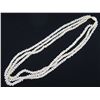 Image 1 : Three-Strand White Shell Lei Necklace w/ Shell Clasp (see video - left thumbnail)