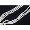 Image 3 : Three-Strand White Shell Lei Necklace w/ Shell Clasp (see video - left thumbnail)