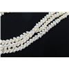 Image 8 : Three-Strand White Shell Lei Necklace w/ Shell Clasp (see video - left thumbnail)