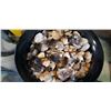 Image 3 : PROPANE FIRE PIT