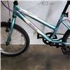 Image 2 : BLUE MOVELLO YOUTH BIKE