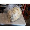 Image 1 : Raw sheep wool fleece