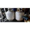 Image 1 : 2 PROPANE TANKS