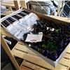 Image 1 : Lot of new essential oil bottles and dispensers