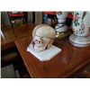 Image 2 : HUMAN ANATOMY DISPLAY SKULL