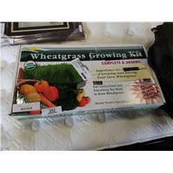 WHEAT GRASS GROWING KIT IN BOX