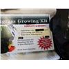 Image 2 : WHEAT GRASS GROWING KIT IN BOX