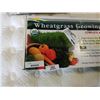Image 3 : WHEAT GRASS GROWING KIT IN BOX
