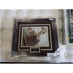 BULL MOOSE BY ROBERT BATEMAN #25120