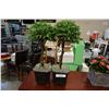 Image 2 : 2 ARTIFICIAL TREES AND FLOWERS