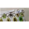 Image 3 : 12 new insect keychains