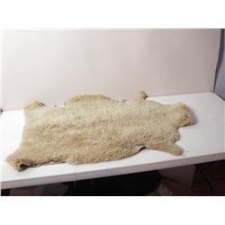 Sheepskin Hide