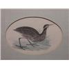 Image 2 : 19th C. Tinted Engravings